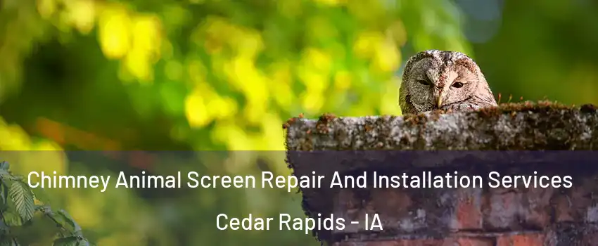  Chimney Animal Screen Repair And Installation Services Cedar Rapids - IA
