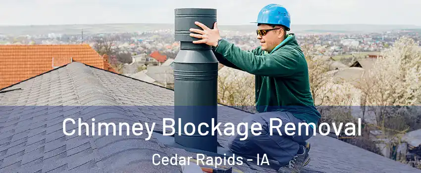  Chimney Blockage Removal Cedar Rapids - IA