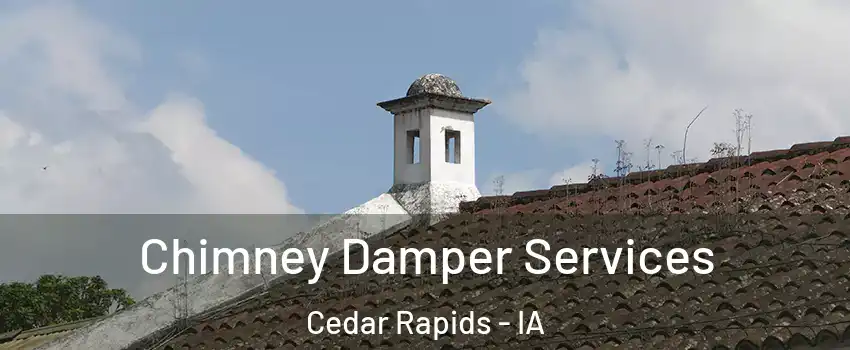  Chimney Damper Services Cedar Rapids - IA