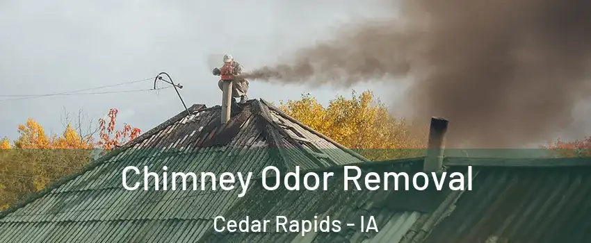  Chimney Odor Removal Cedar Rapids - IA