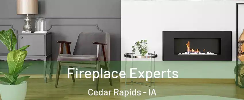  Fireplace Experts Cedar Rapids - IA