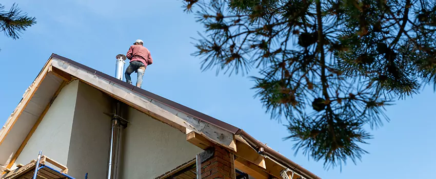 Birds Removal Contractors from Chimney in Cedar Rapids, IA