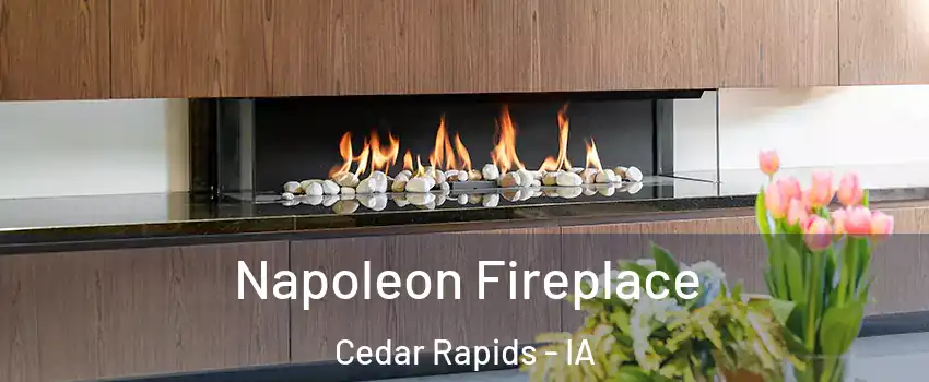  Napoleon Fireplace Cedar Rapids - IA