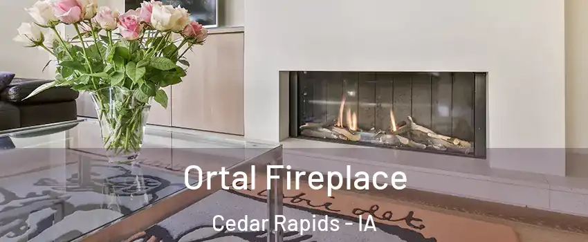  Ortal Fireplace Cedar Rapids - IA
